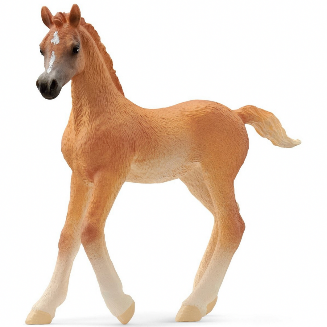 Schleich Arabian Foal