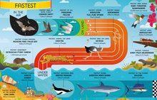 Load image into Gallery viewer, Animal Records Lift The Flap
