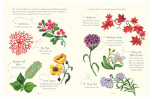 Load image into Gallery viewer, The Magical Unicorn Society - Official Handbook
