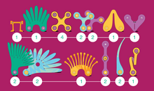 Load image into Gallery viewer, Clixo Tropical Birds 22 Pieces
