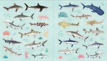 Load image into Gallery viewer, An Ocean Lover's Sticker Book
