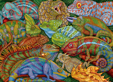 Load image into Gallery viewer, Ravensburger - Riveting Reptiles Puzzle 300 Pieces
