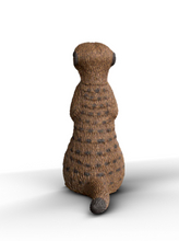 Load image into Gallery viewer, Schleich Meerkat
