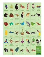 Load image into Gallery viewer, Mudpuppy Rainforest Searh &amp; Find Puzzzle 64 Piece
