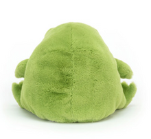 Load image into Gallery viewer, Jellycat Ricky Rain Frog
