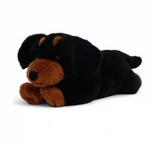 Load image into Gallery viewer, Pumpkin the Dachshund
