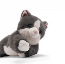 Load image into Gallery viewer, Misty the Grey Cat
