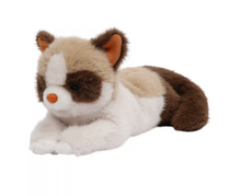 Load image into Gallery viewer, One Love Caramel Cat
