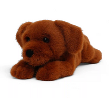 Load image into Gallery viewer, One Love Buddy Labrador
