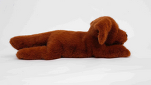 Load image into Gallery viewer, One Love Buddy Labrador
