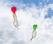 Load image into Gallery viewer, Octopus Kite
