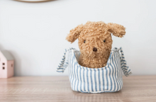 Load image into Gallery viewer, Alimrose Toffee the Puppy in Carrier
