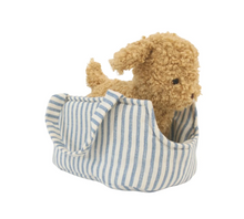 Load image into Gallery viewer, Alimrose Toffee the Puppy in Carrier
