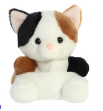 Load image into Gallery viewer, Palm Pals Peebs Cat
