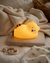 Load image into Gallery viewer, Raphi the Fox Night Light
