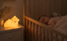Load image into Gallery viewer, Raphi the Fox Night Light
