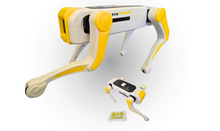 Load image into Gallery viewer, RC Robot Dog
