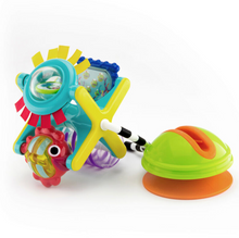 Load image into Gallery viewer, Sassy Baby Fishy Fascination Station
