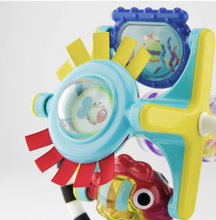 Load image into Gallery viewer, Sassy Baby Fishy Fascination Station
