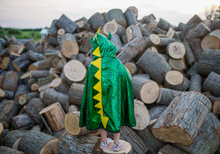 Load image into Gallery viewer, Great Pretenders Reversible Dragon/Knight Cape
