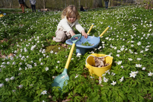 Load image into Gallery viewer, Viking Toys Reline Wheelbarrow
