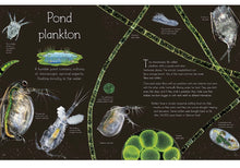 Load image into Gallery viewer, DK An Anthology Of Aquatic Life - Hardcover
