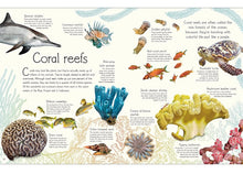 Load image into Gallery viewer, DK An Anthology Of Aquatic Life - Hardcover
