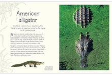 Load image into Gallery viewer, DK An Anthology Of Aquatic Life - Hardcover
