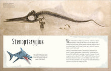 Load image into Gallery viewer, DK Dinosaurs &amp; Other Prehistoric Life - Hardback
