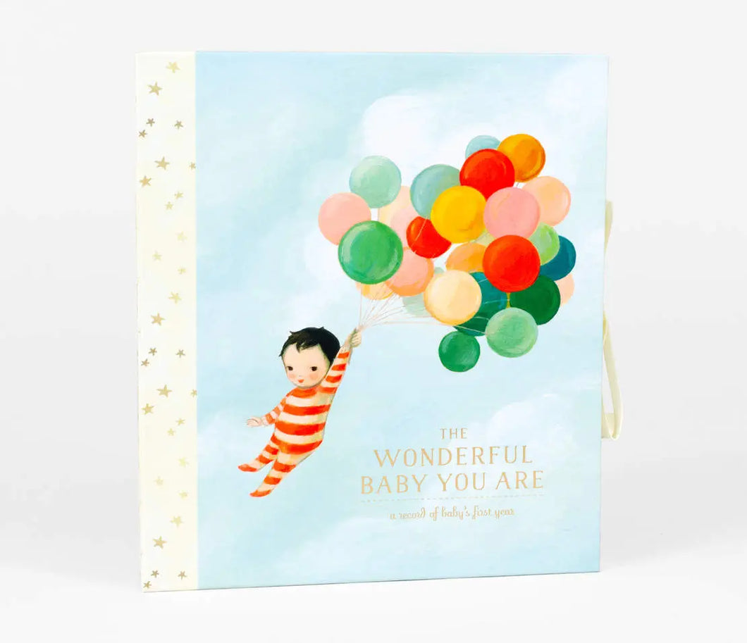 The Wonderful Baby You Are - A Record of Baby's First Year - H/B