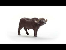 Load and play video in Gallery viewer, Schleich Buffalo
