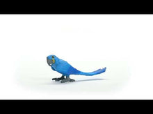 Load and play video in Gallery viewer, Schleich Hyazinth Macaw
