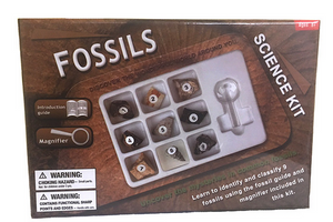 Team Toyboxes Fossils Science Kit