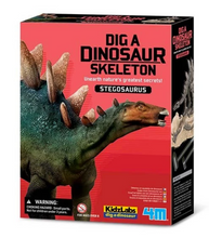 Load image into Gallery viewer, 4M Dig A Dinosaur Stegosaurus
