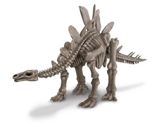 Load image into Gallery viewer, 4M Dig A Dinosaur Stegosaurus
