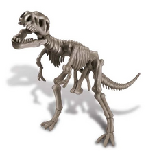 Load image into Gallery viewer, 4M Dig A Dinosaur T-Rex
