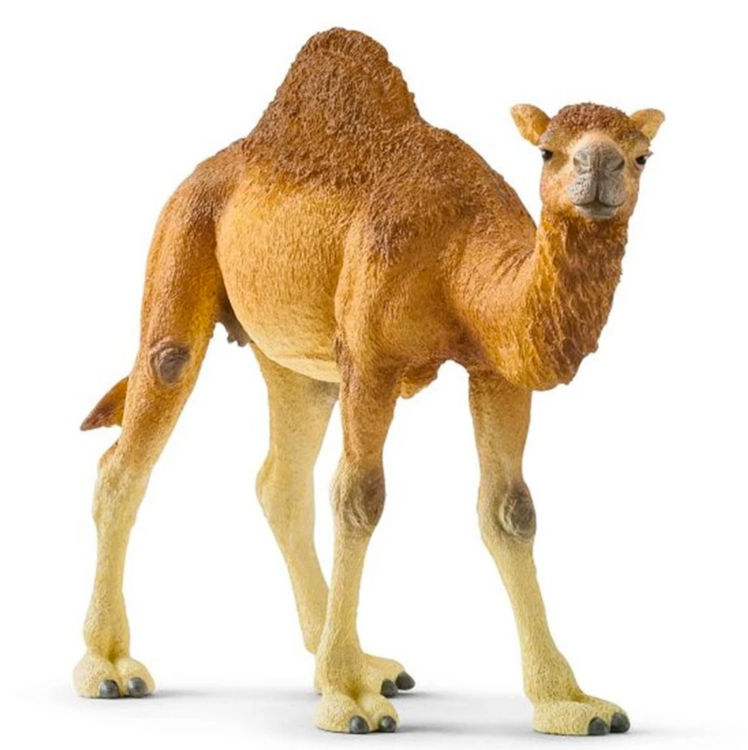 Schleich Dromedary Camel
