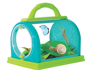 Discovery Zone Bug Study  Set