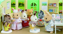 Load image into Gallery viewer, Sylvanian Families Country Doctor
