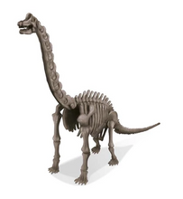 Load image into Gallery viewer, 4M Dig A Dinosaur Brachiosaurus
