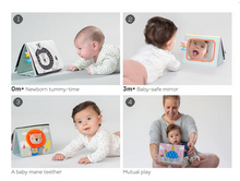 Load image into Gallery viewer, Taf Toys Savannah Tummy Time Book
