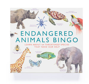 Laurence King  Endangered Animals Bingo