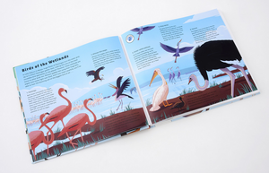Sounds of Nature - World of Birds - Sound Book