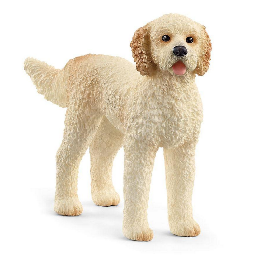 Schleich Goldendoodle