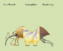Load image into Gallery viewer, Build-a-Bug - Sara Bell - Board Book
