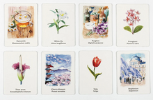 Load image into Gallery viewer, Pick A Flower: A Memory Game
