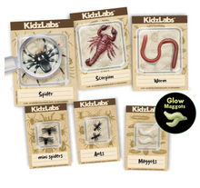 Load image into Gallery viewer, 4M KidzLabs Creepy Crawly Digging Kit
