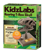 Load image into Gallery viewer, 4M KidzLabs Roaring T-Rex Skull
