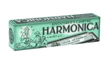 Load image into Gallery viewer, Adventurer's Harmonica - House of Marbles
