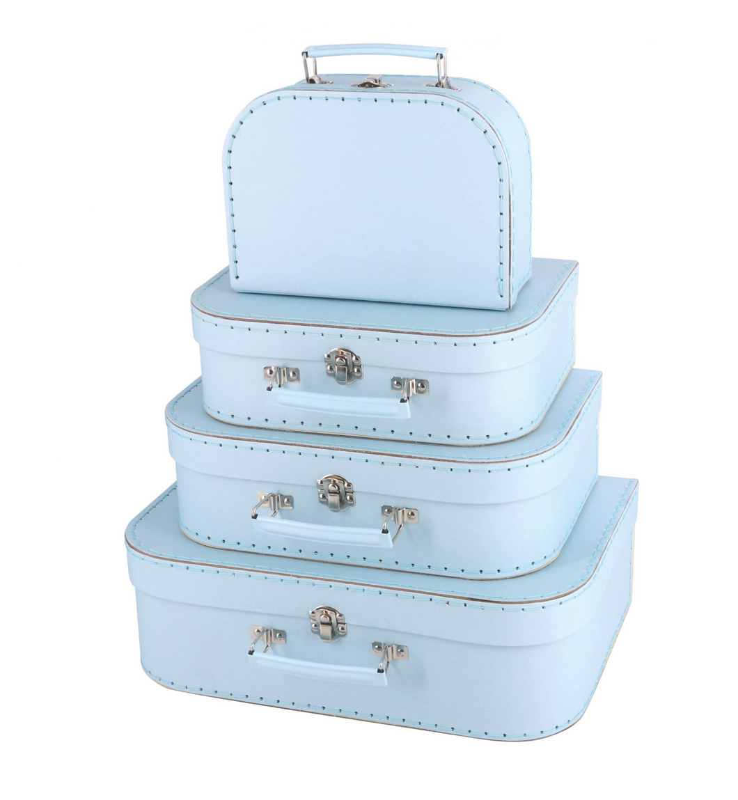 Pale Blue Carry Case Set of 4